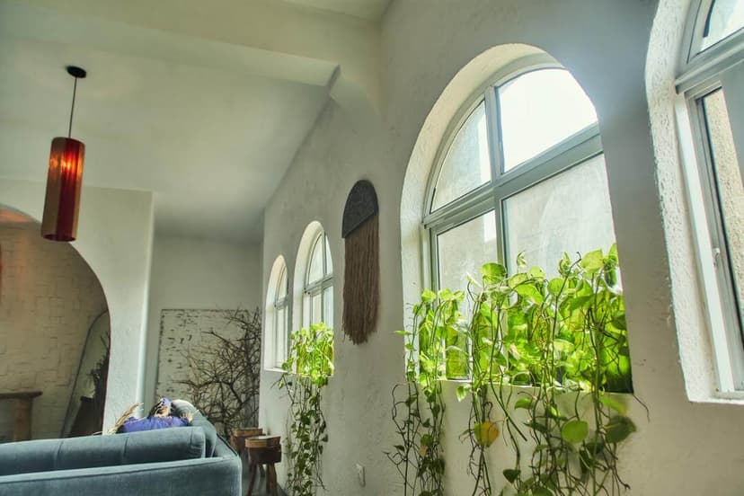 KUVAAH STUDIO - Image 5