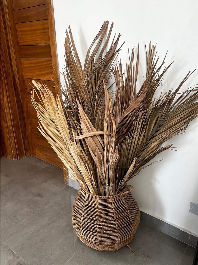 CQ HOME - Image 15